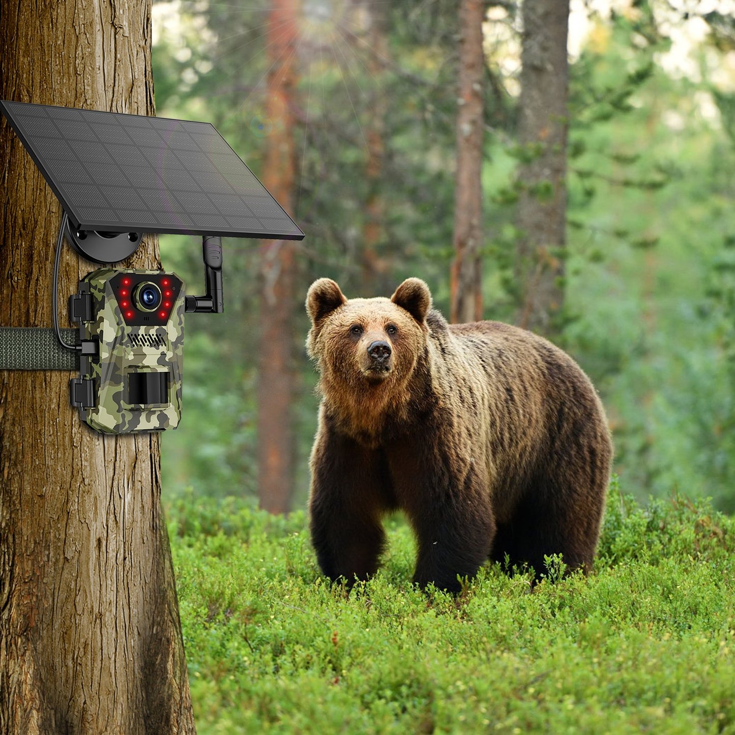 1Pc 4G 4K 30FPS Solar Trail Camera Outdoor Wildlife Camera Motion Activated IP66 Waterproof With 140 Degree Viewing Angle No Glow Night Vision SIM Card APP Control No WiFi Needed